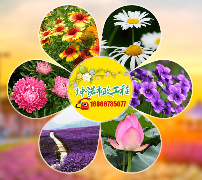 青州市坤诺市政工程有限公司