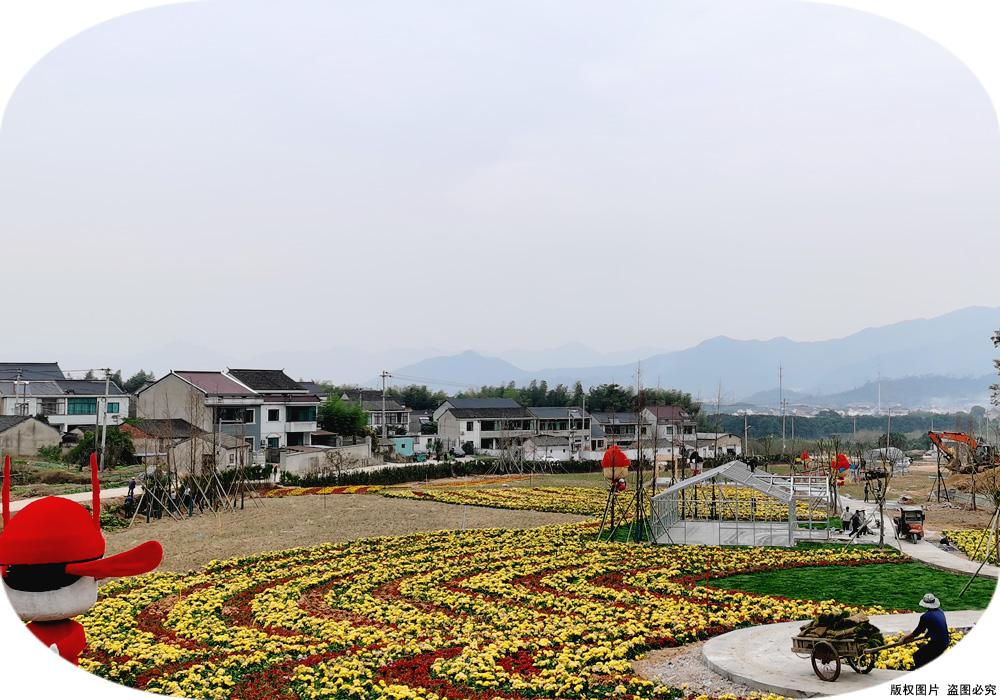 花海设计02.jpg